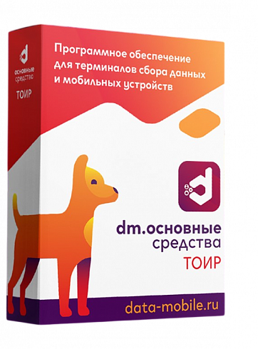 DataMobile ТОИР