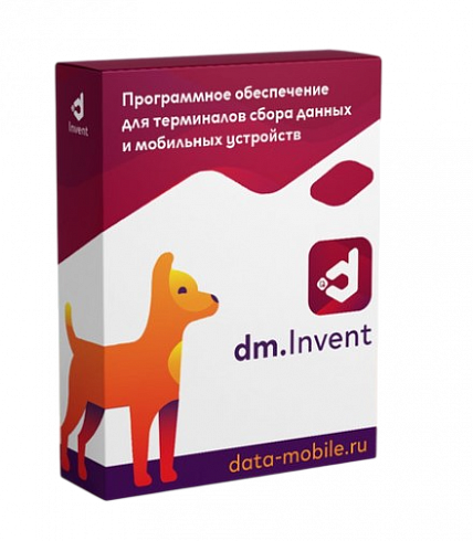 DataMobile Invent